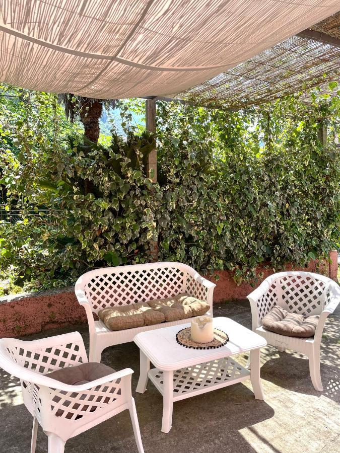 Cozy Little House Kotor Apartment Exterior photo